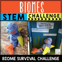 Biomes STEM Challenge The perfect challenge for students who are studying Biomes and Earth Science! This resource is part of the Earth Science (Entire) Curriculum. This resource has science, technology, engineering, and measurement activities to do with your upper elementary kids that will really... Environmental Careers, Biomes Activities, Biomes Project, Ecosystems Projects, Remote Teaching, Teaching Freebies, Geography Worksheets, Stem Elementary, Biology Classroom