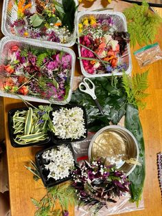 several trays filled with different types of flowers and herbs on top of a wooden table