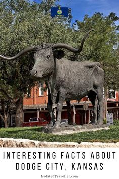 a statue of a bull with the words interesting fact about dodge city, kansas