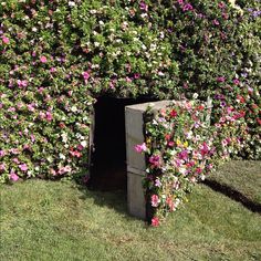 a wooden box with flowers growing out of it's sides on the grass in front of a bush