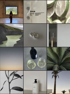 a collage of photographs with palm trees, water and other things to see on the wall