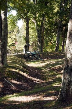 a bike is parked in the middle of a wooded area with trees and grass on both sides