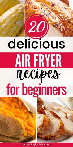 air fryer recipes for beginners with text overlay that reads 20 delicious air fryer recipes for beginners