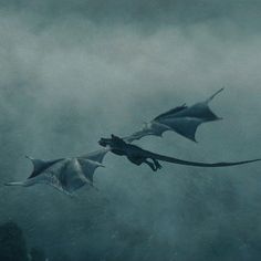 two dragon like creatures flying in the sky