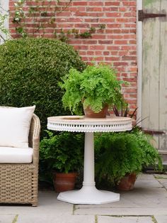 two chairs and a table with plants on it