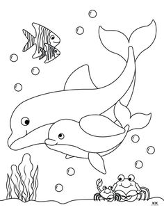 two dolphins swimming in the ocean with crabs and sea animals coloring pages for kids