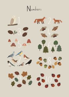 an illustrated poster with numbers and animals on the front, surrounded by leaves and acorns