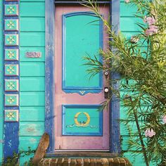 a blue and pink door sitting next to a tree