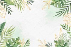 watercolor leaves and plants on a white background