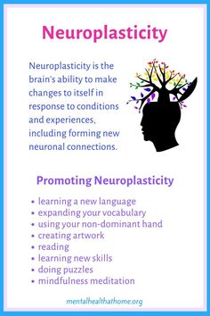 Brain Anatomy And Function, Glenn Doman, Learning Psychology, Psychology Notes, Learning New Skills, Learning A New Language, Psychology Studies, Brain Anatomy