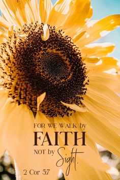 a sunflower with the words for we walk by faith not by sight