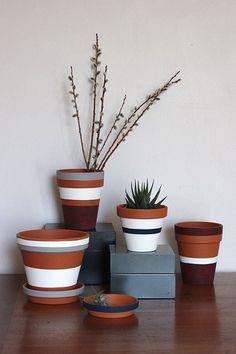 several pots with plants in them sitting on a table