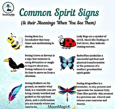 Spirit Animal Meaning, Spirit Signs, Spirit Messages, Spiritual Psychology, Spiritual Awakening Signs, Witch Spirituality, Magic Spell Book, Spiritual Journals, Witchcraft Spell Books