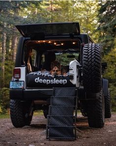 a dog is sitting in the back of a jeep