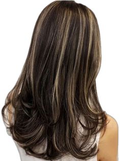 Skunk Hair, Brown Hair Inspo, Hair Color Streaks, Brunette Hair With Highlights, Hair Streaks, Dark Hair With Highlights, Brown Hair With Blonde Highlights, Hairstyles For Layered Hair