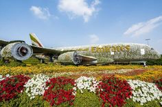 an airplane made out of flowers on display at the air port in san francisco, california