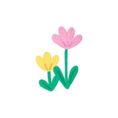 two pink and yellow flowers with green stems on a white background in the shape of letters