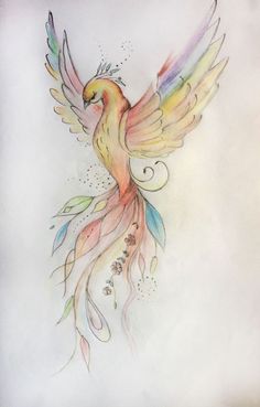 a drawing of a bird with colorful wings