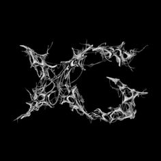 the letter k is made up of white and black branches on a black background,