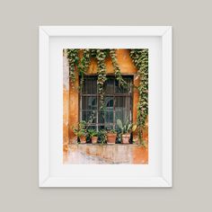 an old window with potted plants on the ledge and in front of it is a white frame