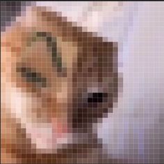 a dog's face is shown in an image made out of small squares and pixels