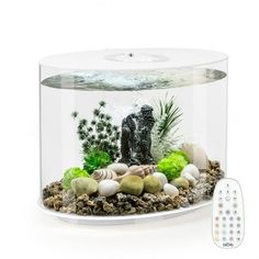 an aquarium with rocks and plants in it next to a remote control for the light