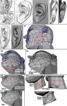 an ear is shown with different angles and directions to make it look like they have been made