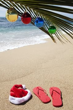 a pair of red slippers sitting on top of a sandy beach next to the ocean