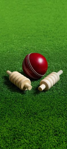 a cricket ball and two wooden bats on green grass