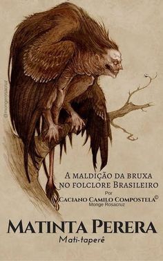 a book cover with an image of a bird on it's back and the title in spanish