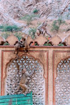 monkeys climbing on the side of a building near a green bench and some mountains in the background