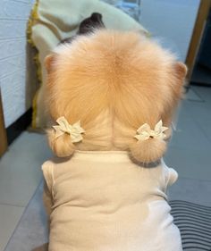 the back of a stuffed animal wearing a white shirt with bows on it's head