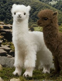 two stuffed llamas standing next to each other in the grass on top of a mountain