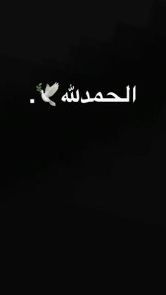 the words in arabic are written with white doves and green leaves on a black background