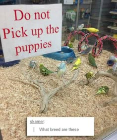 a sign that says, do not pick up the puppies i wonder what breed those are