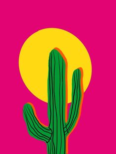 a green cactus on a pink and yellow background