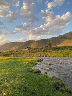 a river running through a lush green field