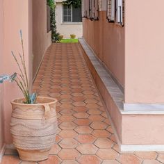 an alley way with a potted plant on the side