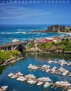 boats are docked in the water near a bridge