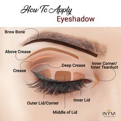 Gold Eye Makeup Step By Step, Different Eye Shadow Styles, Eyeshadow Techniques Step By Step, Eye Makeup Theory, Hooded Eye Makeup Guide, Eye Shadow Steps, Makeup Theory Book, How To Apply Eye Shadow To Hooded Eyes Makeup Tutorials, Partially Hooded Eye Makeup Tutorial