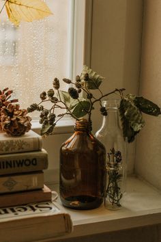 some books and vases on a window sill