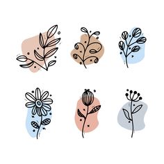 four different types of flowers on a white background with blue and pink colors, one is drawn