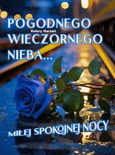 a blue rose sitting on top of a rain covered table with the words pogodnego wieczonenego nieba