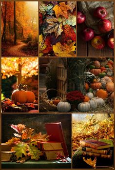 a collage of autumn scenes with pumpkins, books and leaves on the ground