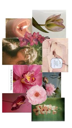 a collage with pink flowers and green leaves