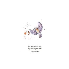 a watercolor drawing of a bird flying with the words, he discovered me by sitting on his wings