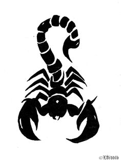 a black and white drawing of a scorpion