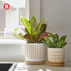 two potted plants sitting on top of a window sill next to a phone