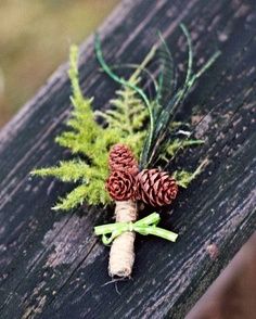 some pine cones are sitting on a piece of wood