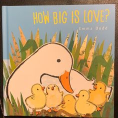 a children's book about how big is love? with ducks in the grass